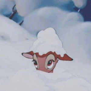 Meet your Posher, Perla